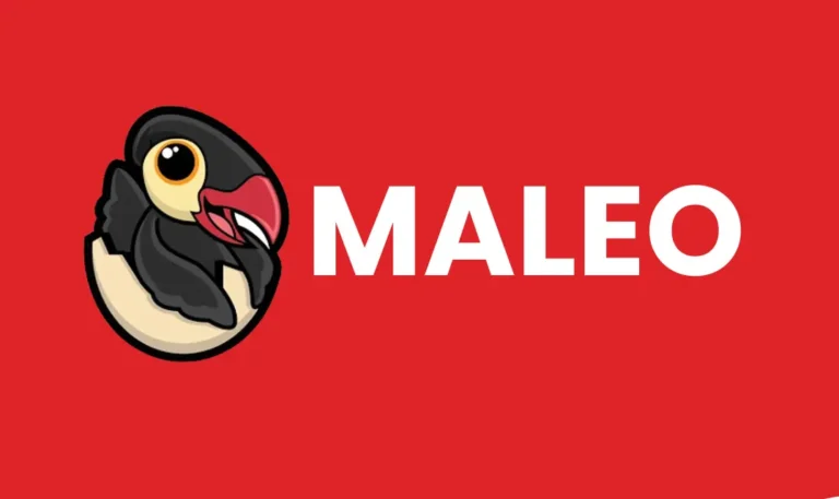 Maleo game developer